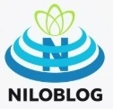 شروع کسب و کار اینترنتی با طراحی سایت بدون کدنویسی